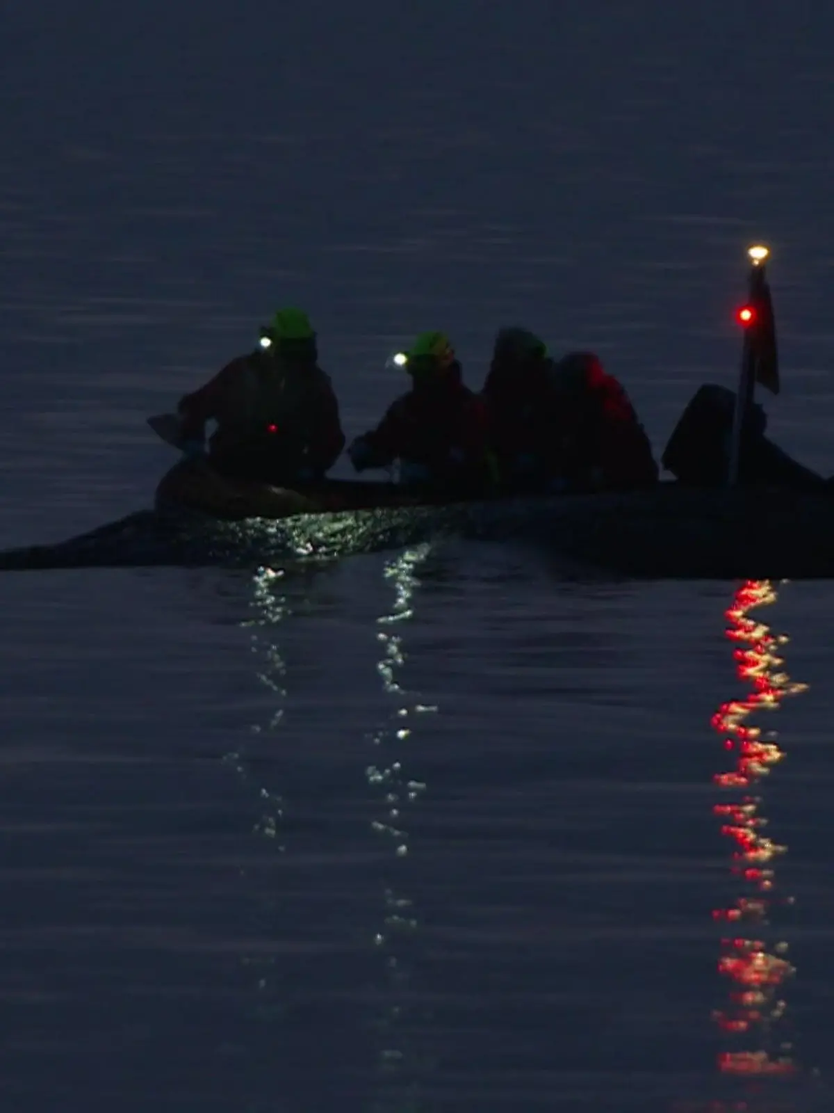 Bild zu: "Rettungsversuche für Wal scheitern vor Timmendorfer Strand"