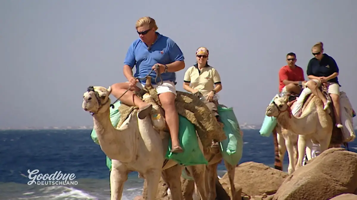 Für Kathrin beginnt in Dahab ein harter Tag – gelingt die Vorbereitung der Kamelsafari? Stress in Dahab