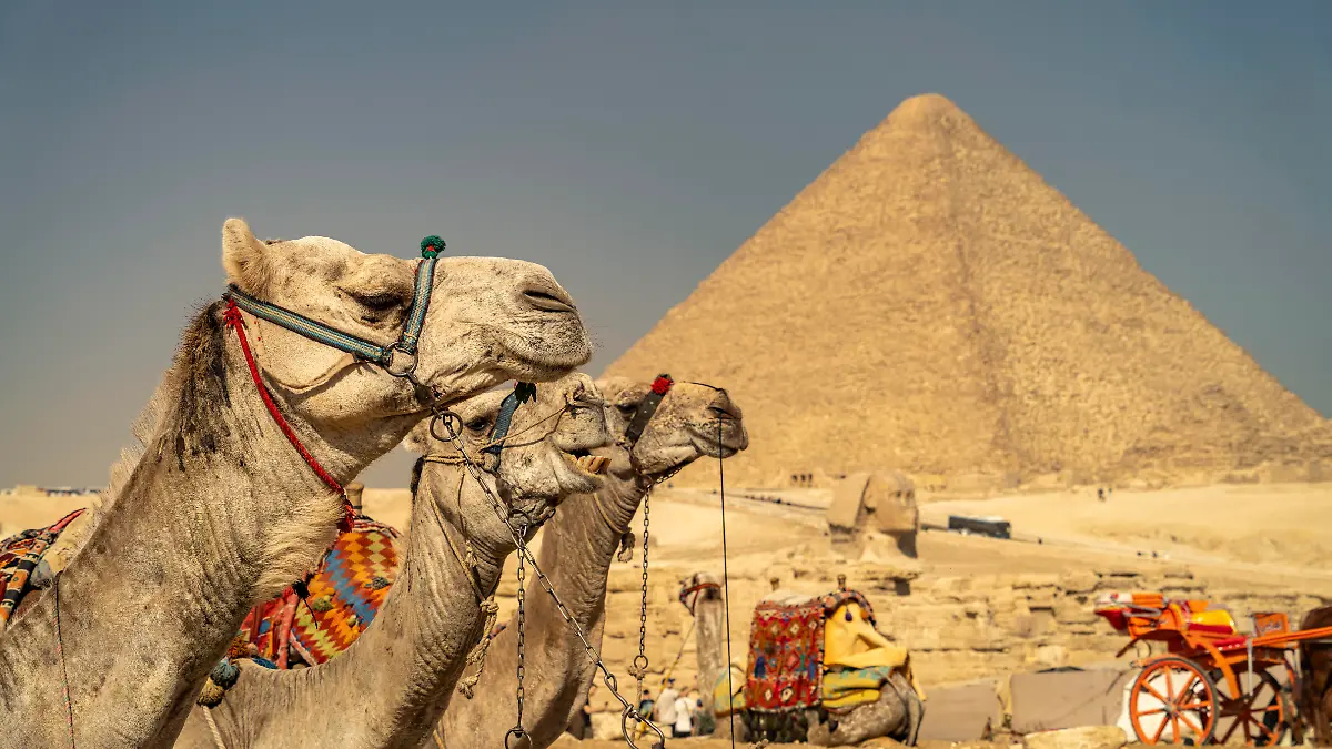 Eines der Highlights in Ägypten: die Pyramiden von Gizeh