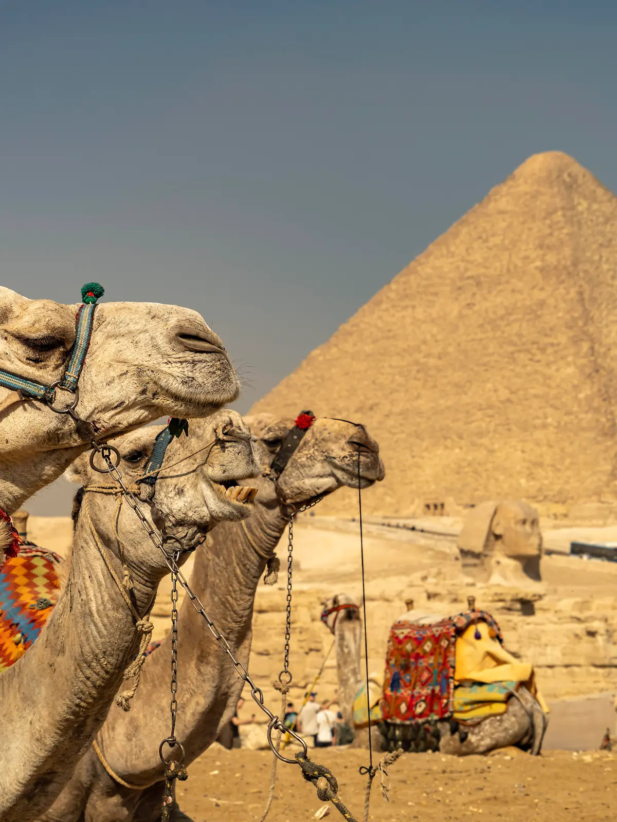 Eines der Highlights in Ägypten: die Pyramiden von Gizeh