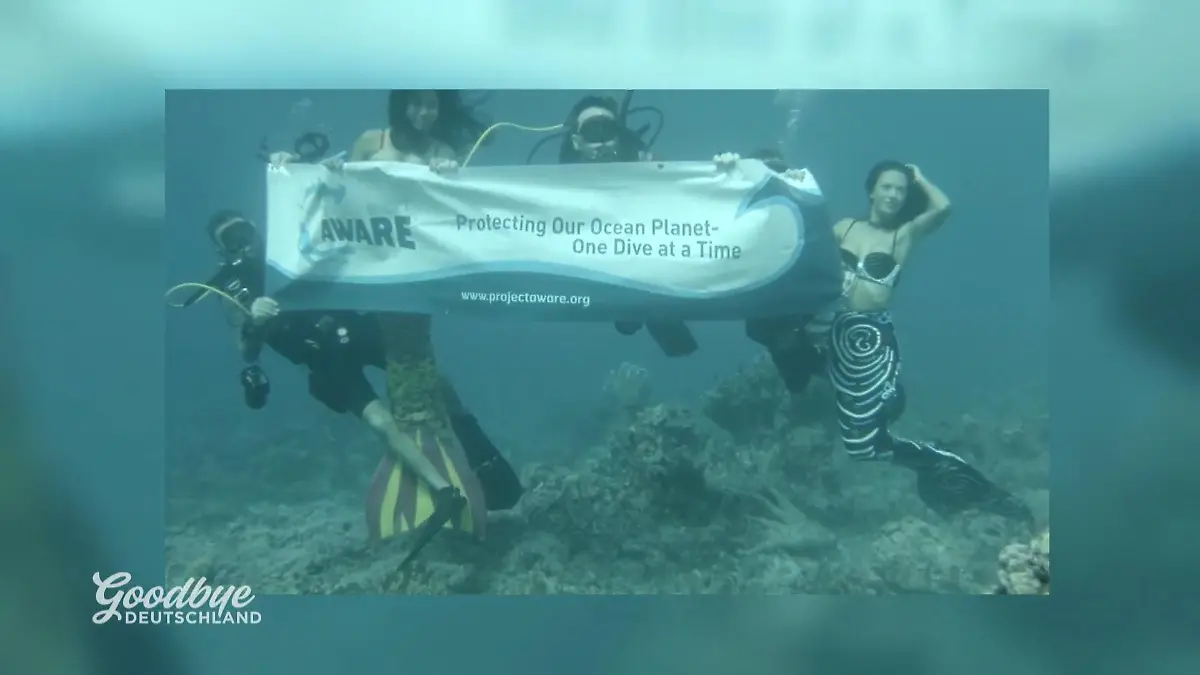 Katrin ist "von Beruf Meerjungfrau" Spannendes Geschäftsmodell