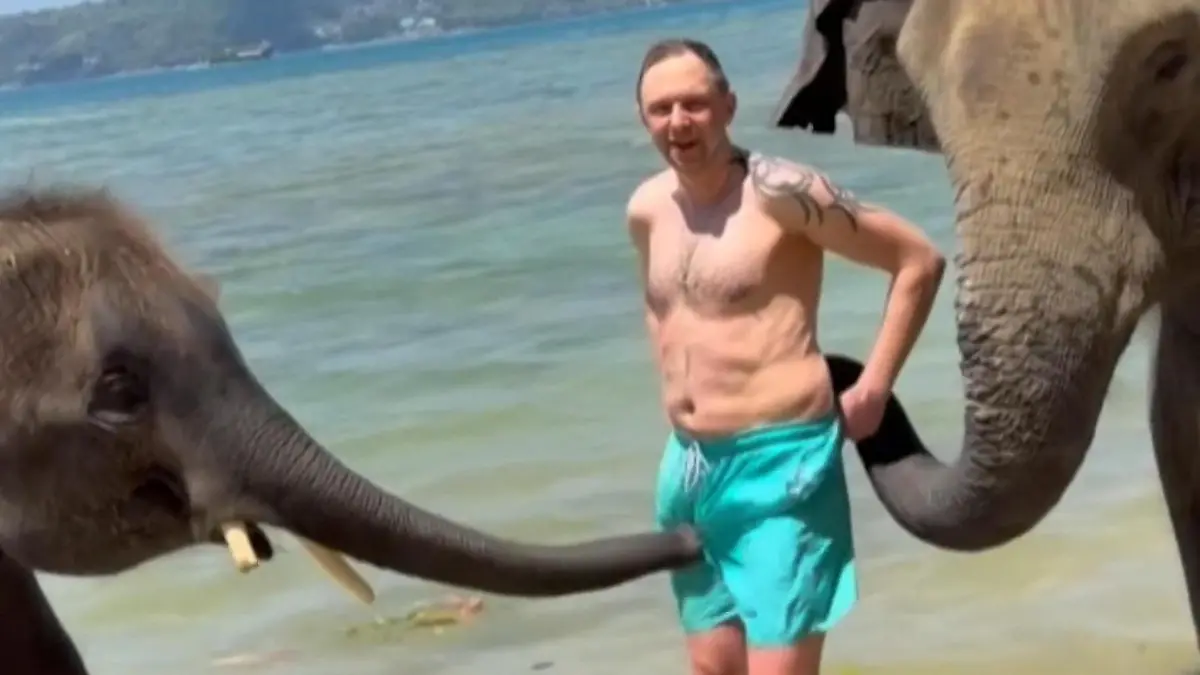 Voll auf SEINEN Rüssel! Aufdringliche Elefanten wollen Touri an die Wäsche Gib uns deine Hose!