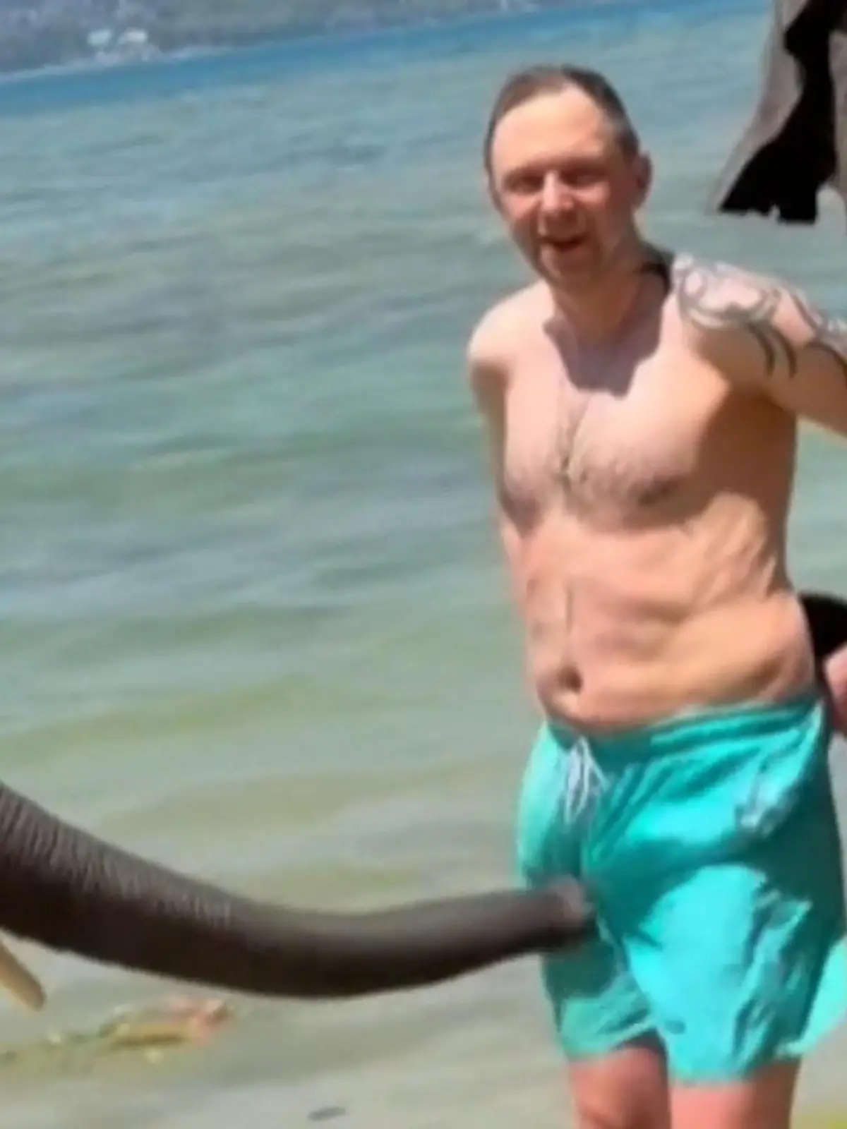 Bild zu: "Voll auf SEINEN Rüssel! Aufdringliche Elefanten wollen Touri an die Wäsche"