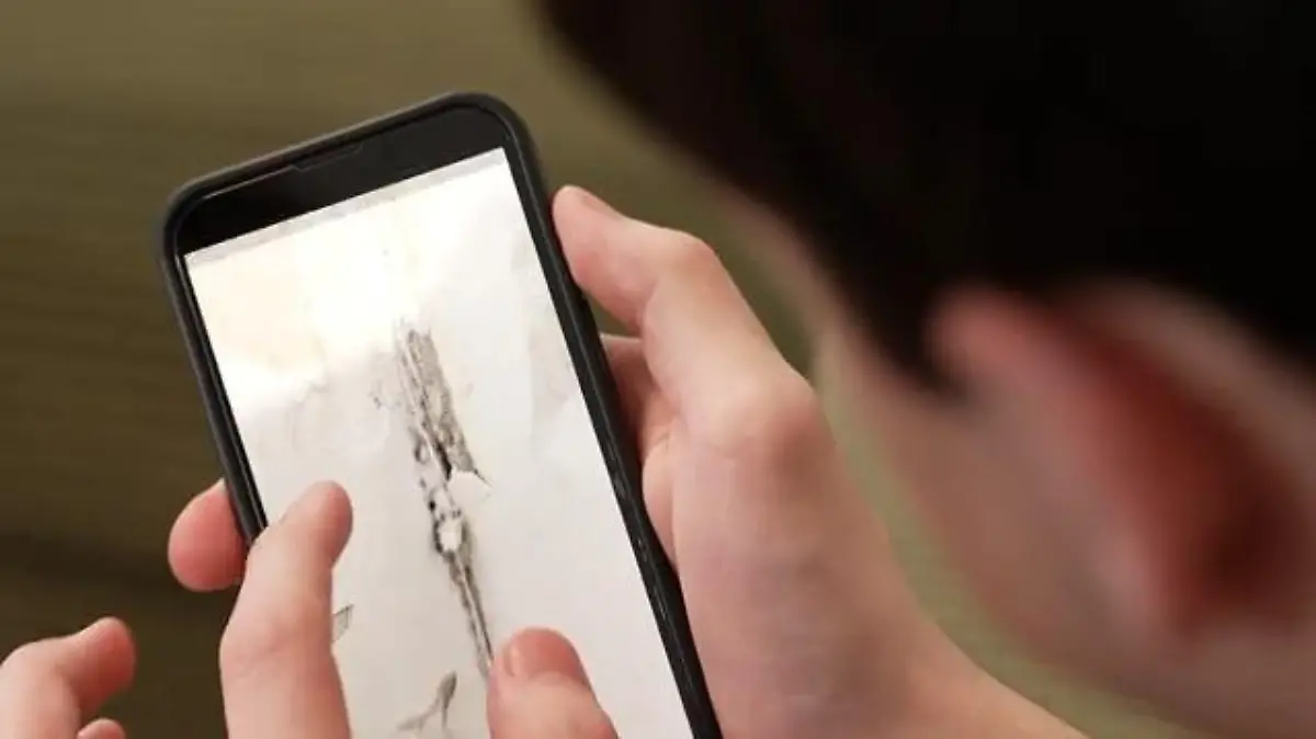 Schimmelwohnung in Duisburg Ärger mit Vermieter