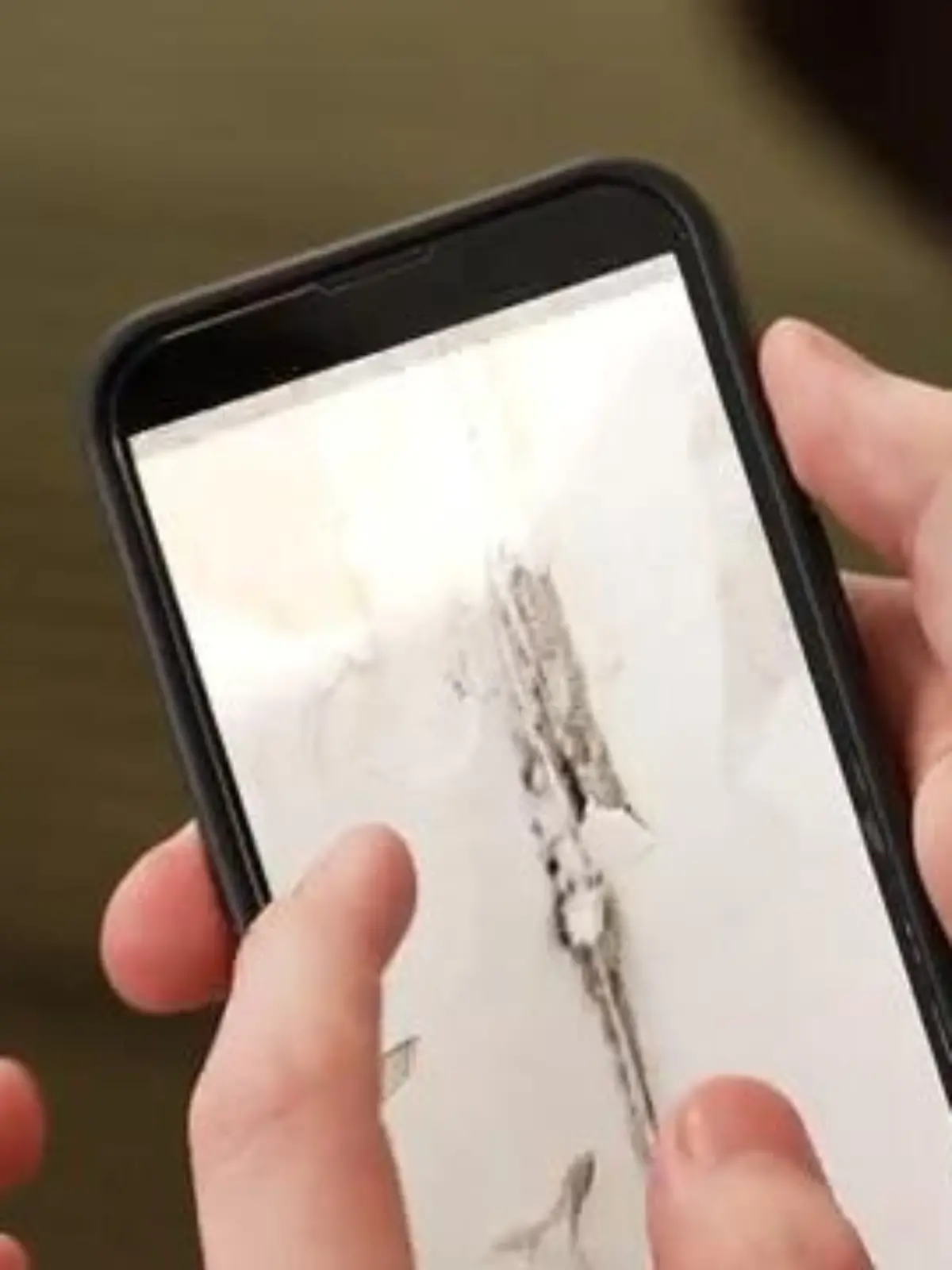 Bild zu: "Schimmelwohnung in Duisburg"