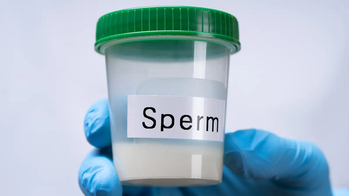 Doctor Holding Sperm Donor Container, 22.02.2020 20:06:58, Copyright: xAndreyPopovx Panthermedia28153001