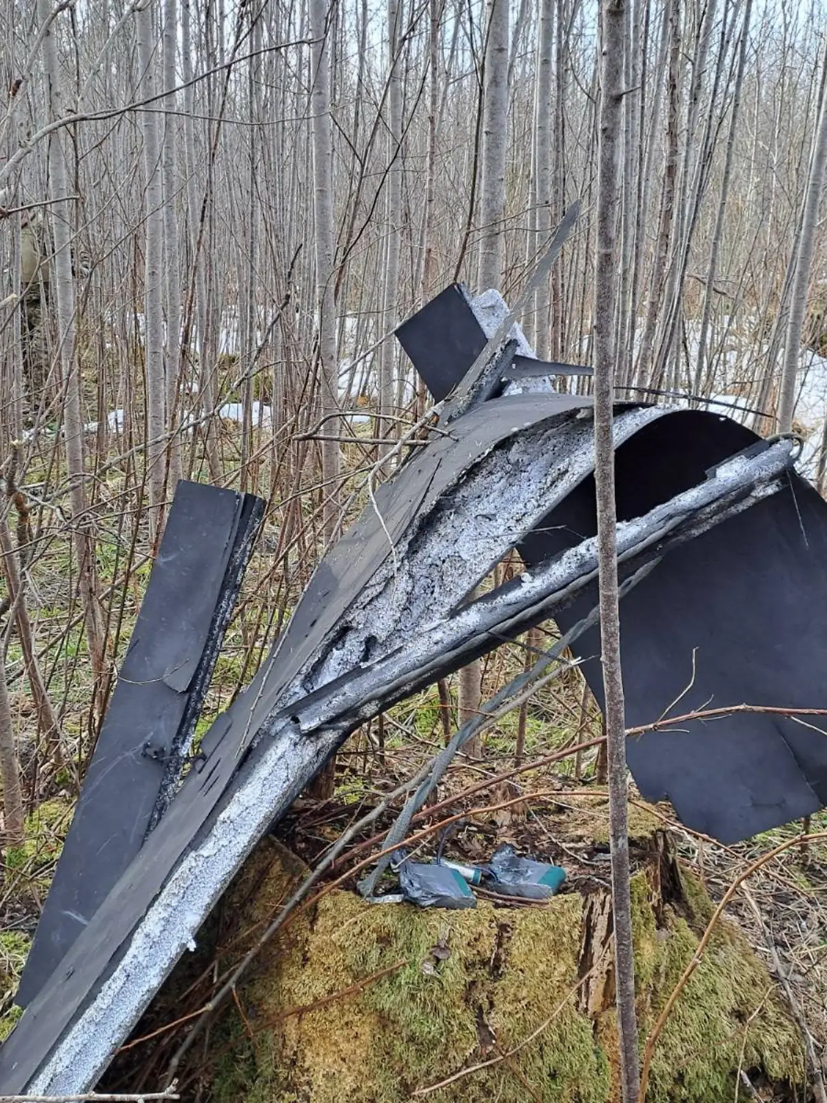 HANDOUT - 25.03.2026, Lettland, Kraslava: Trümmerteile hängen an der Absturzstelle einer Drohne in der Vegetation in der Nähe von Kraslava. In Estland und Lettland sind aus Russland in den Luftraum eingeflogene Drohnen abgestürzt. Dabei handelte es sich nach Angaben der Regierungen in Tallinn und Riga wohl um fehlgeleitete ukrainische Flugobjekte, mit denen Kiew russische Ziele am Finnischen Meerbusen angriff. Foto: -/National Armed Forces of Latvia/dpa - ACHTUNG: Nur zur redaktionellen Verwendung im Zusammenhang mit der aktuellen Berichterstattung und nur mit vollständiger Nennung des vorstehenden Credits +++ dpa-Bildfunk +++