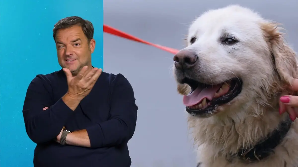 So sehr genießt Willi sein neues Leben Liebevolles Zuhause