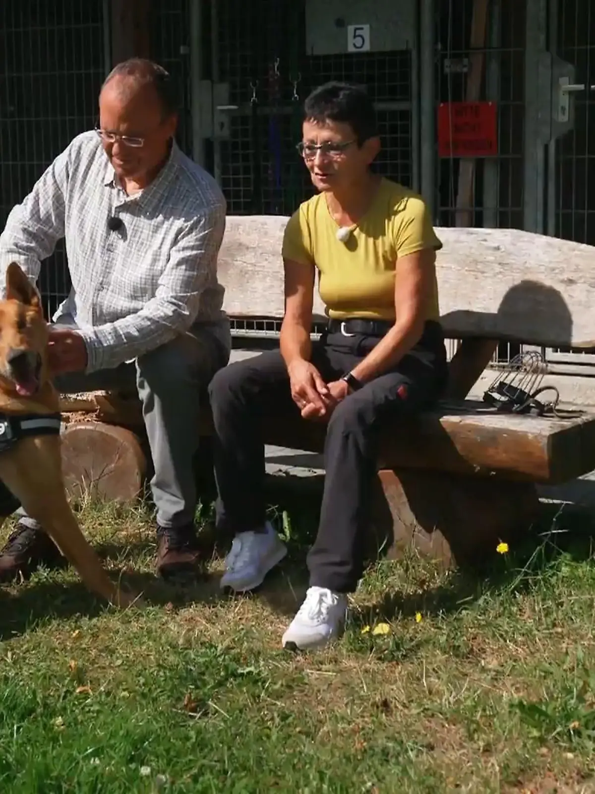 Bild zu: "Sorgenkind Moses wartet auf seine Chance"