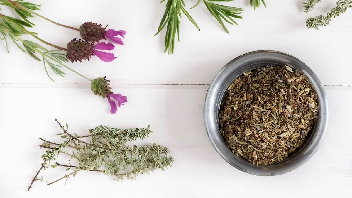 Kräuter der Provence im Schälchen umgeben von frischen Kräutern