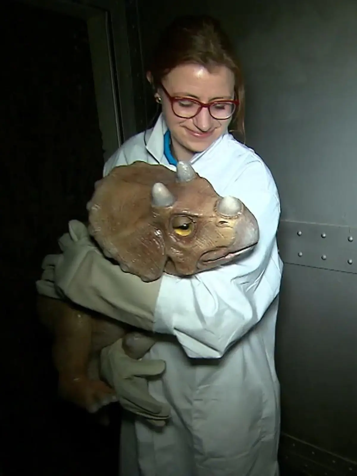 Bild zu: "Dino-Ausstellung am Rhein"