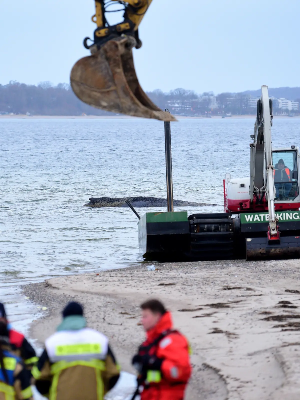 Helfer stehen am Strand in der Nähe des gestrandeten Wals. Heute soll ein neuer Rettungsversuch für das Tier unternommen werden.