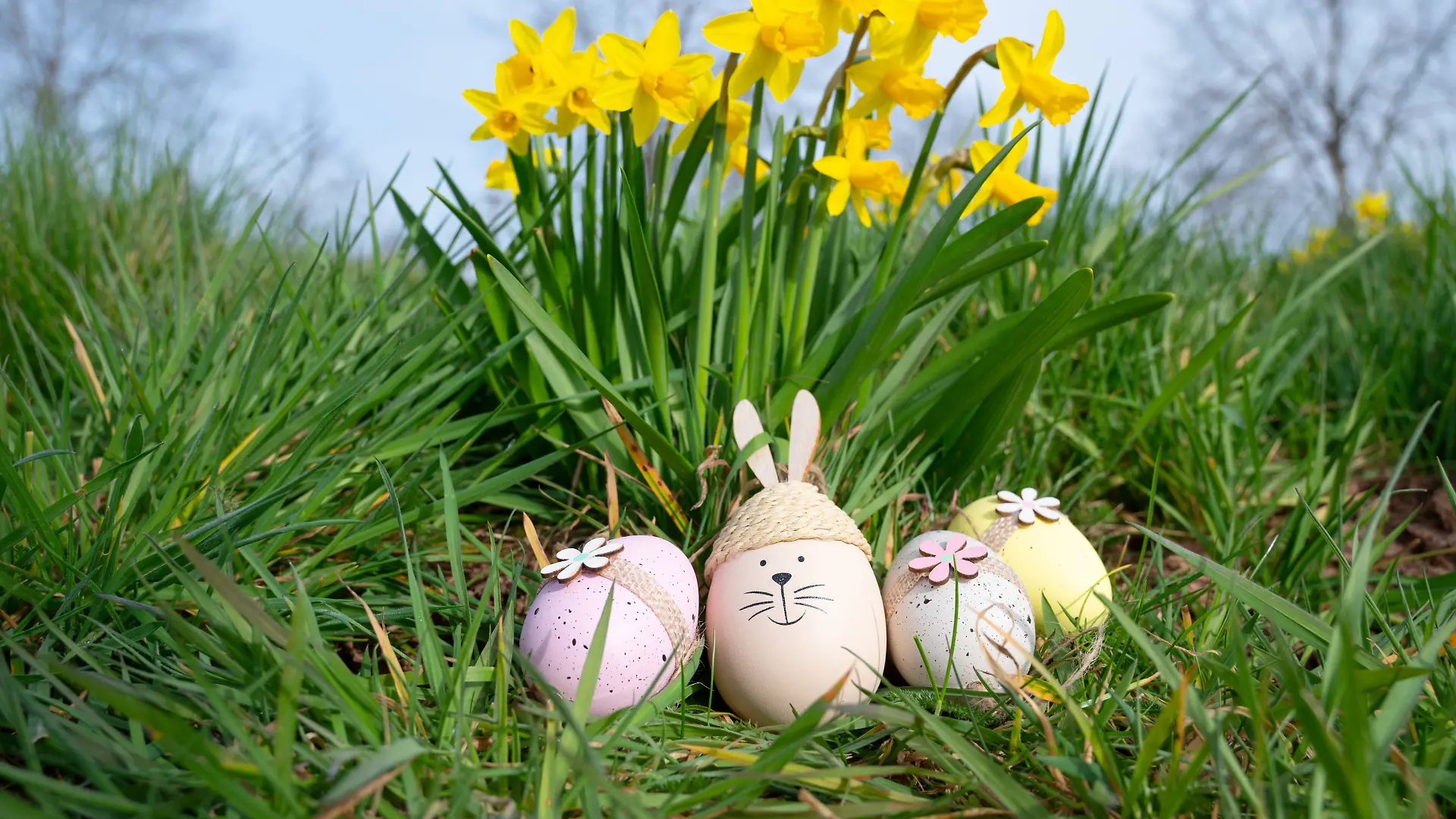 Ein Osternest mit bunten Eiern liegt im Garten. 