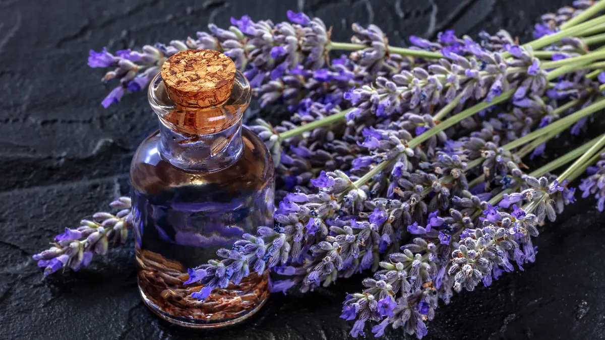 Ein kleines Fläschchen neben einem Lavendelstrauß. 