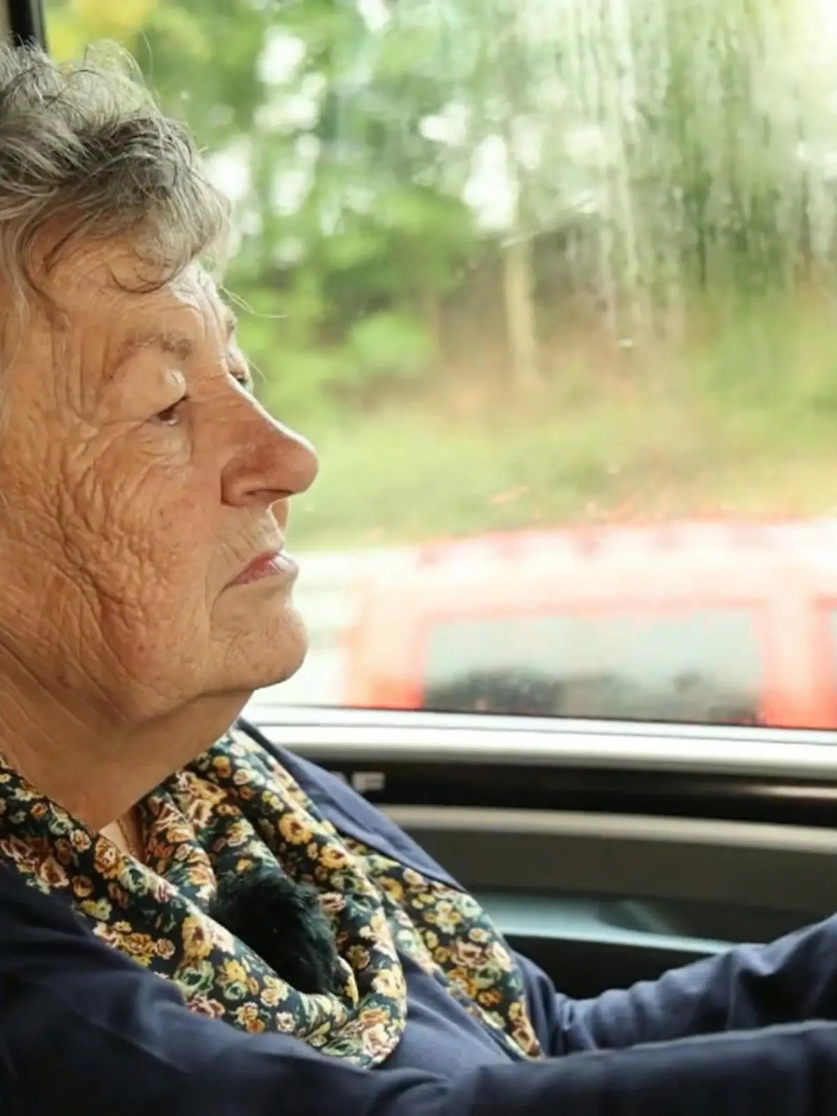 Bild zu: "Oma Rosi ist Deutschlands älteste LKW-Fahrerin"