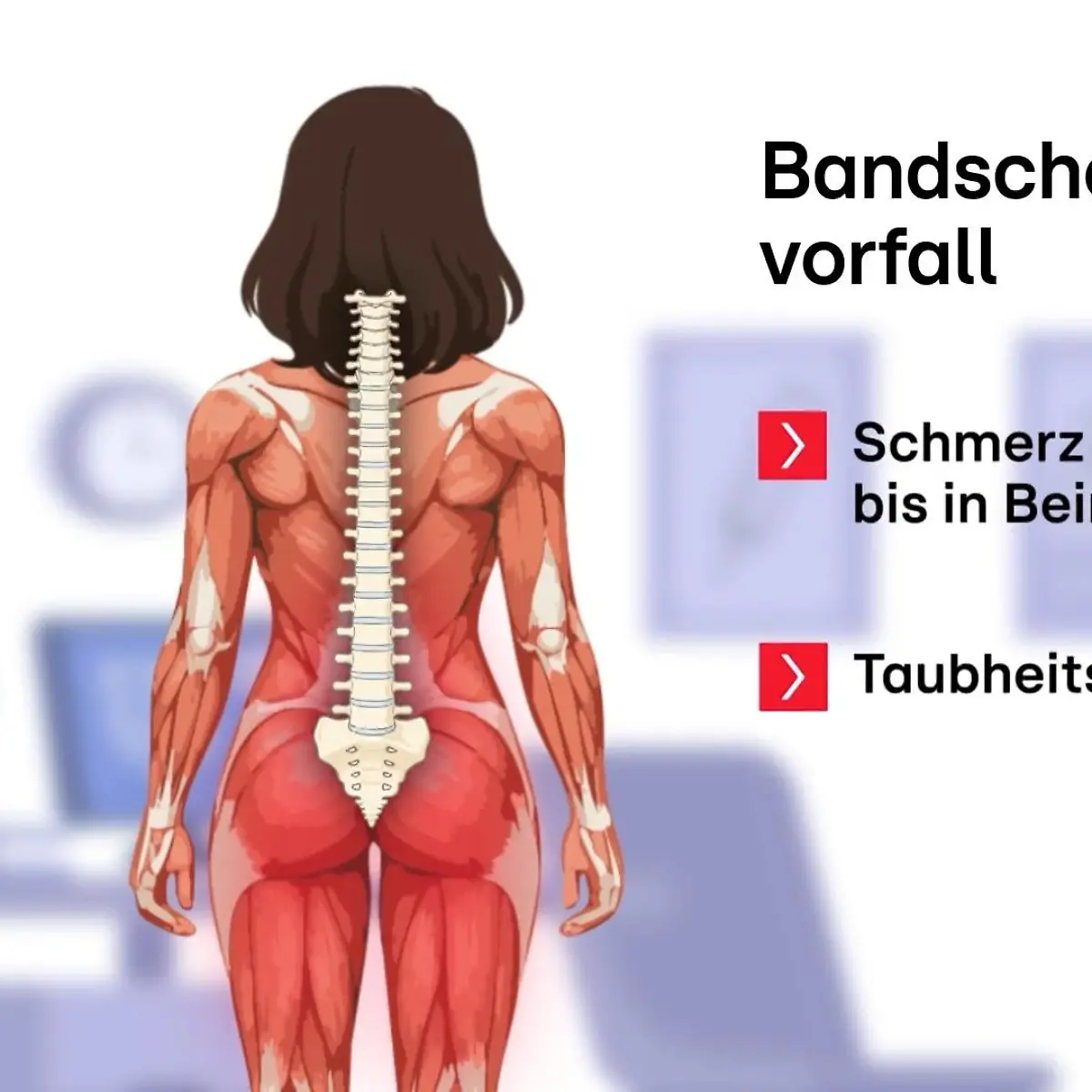 beste fahrradhandschuhe sommer Owlin Sommer-Fahrradhandschuhe main image 0