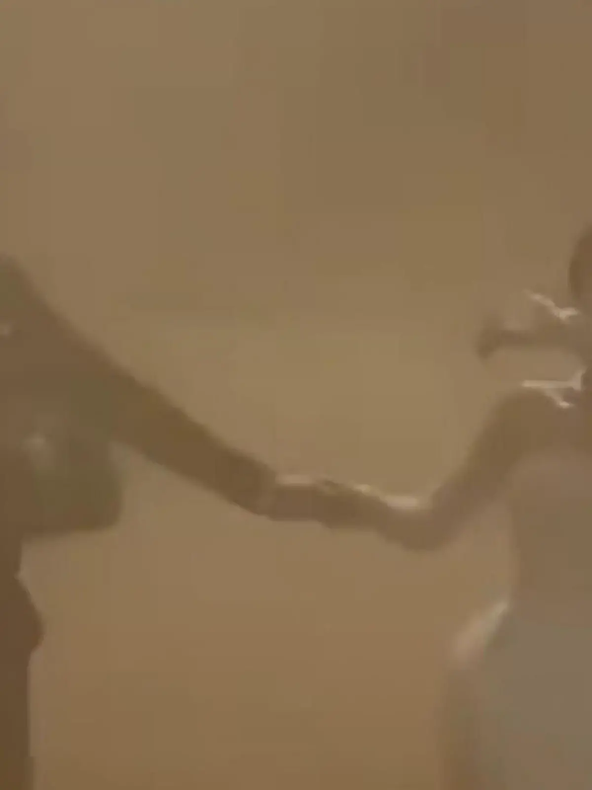 Bild zu: "Hochzeitspaar will Fotos in Traumkulisse – und bereut es sofort!"