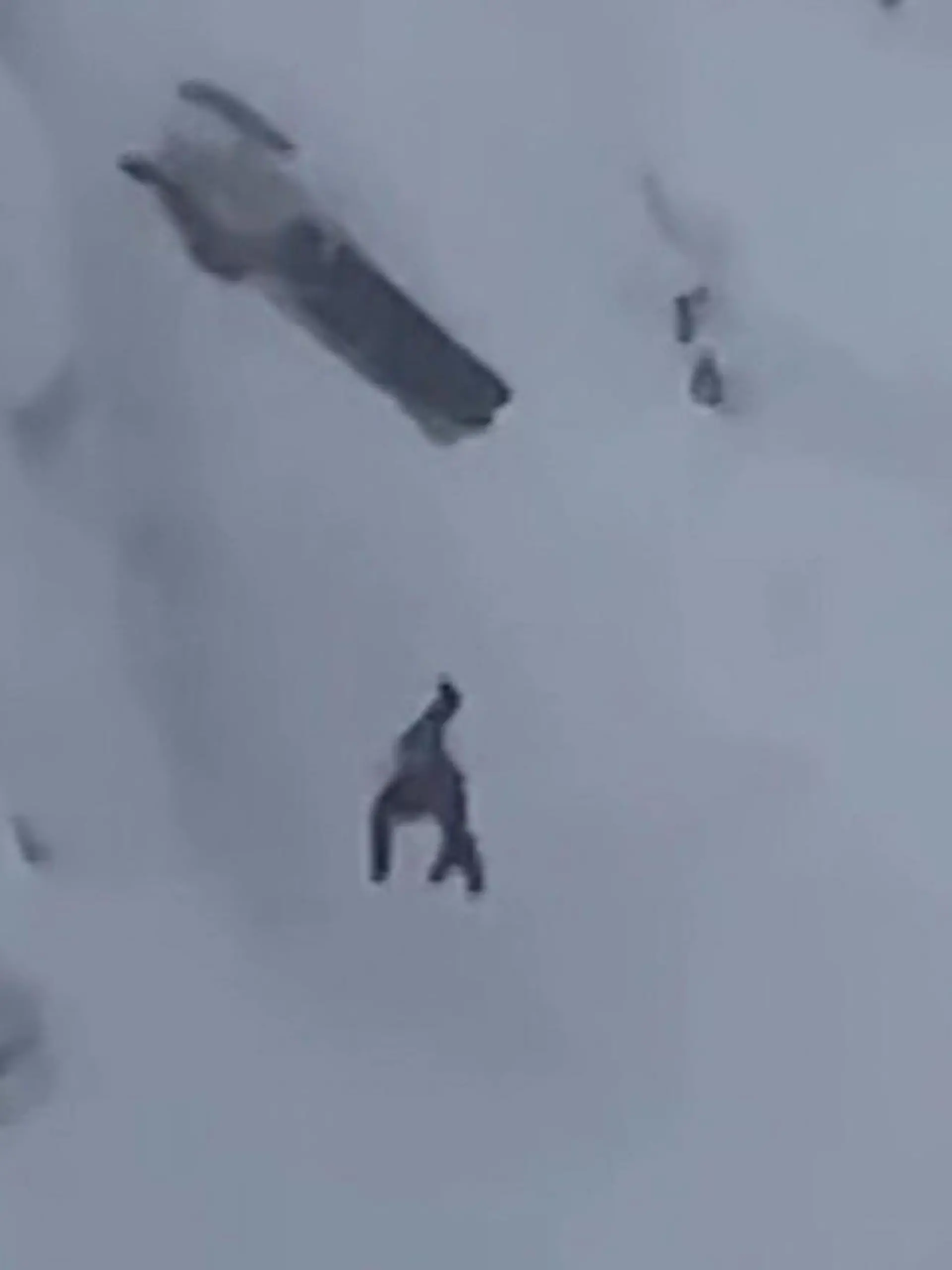 Bild zu: "Mit Schneemobil verunglückt! Mann verschätzt sich am Abhang komplett"
