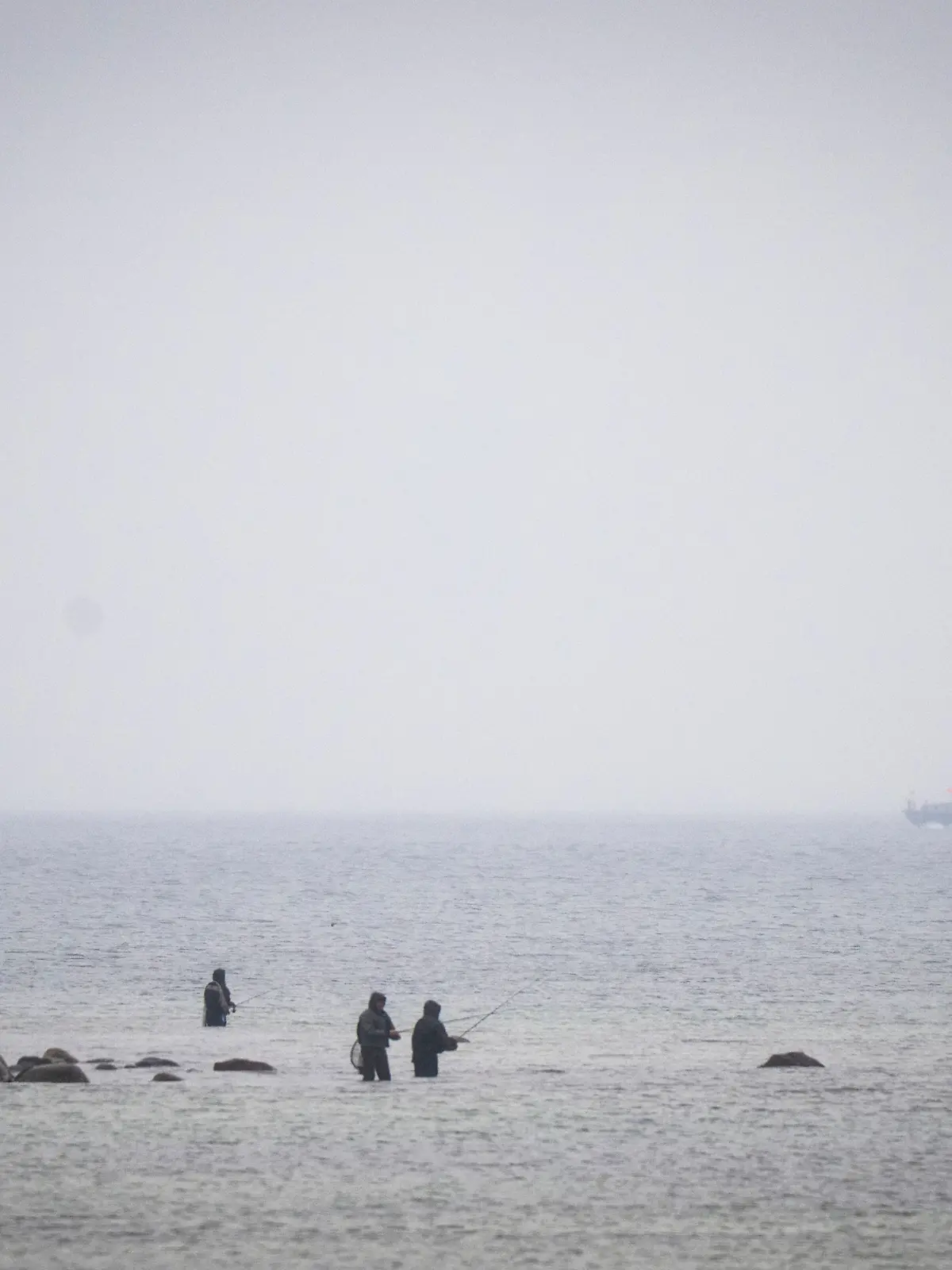 28.03.2026, Mecklenburg-Vorpommern, Boltenhagen: Das Boot «Uecker» (hinten,r) von der Wasserschutzpolizei fährt an der Ostseeküste vor Boltenhagen entlang. Bei der Suche nach dem vor Timmendorfer Strand befreiten Buckelwal fährt das Boot seit dem frühen Morgen die Küste ab. Foto: Philip Dulian/dpa +++ dpa-Bildfunk +++
