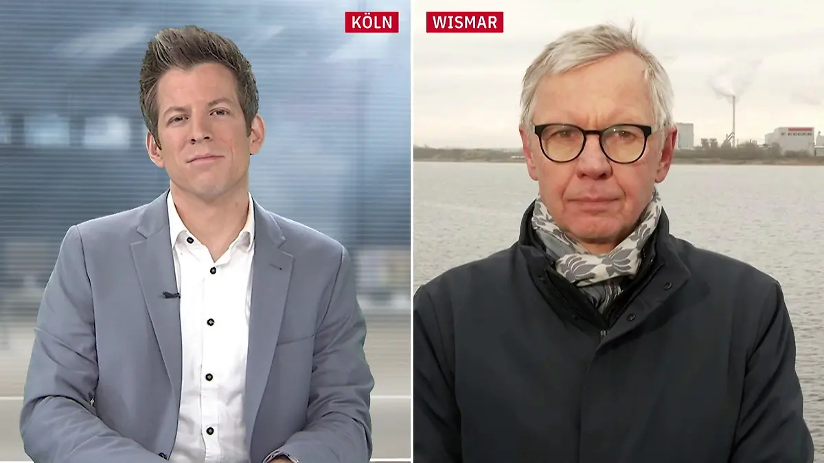 Seine Kräfte schwinden! Buckelwal steckt erneut fest – gibt es noch Hoffnung? Wal in Wismarer Bucht gestrandet