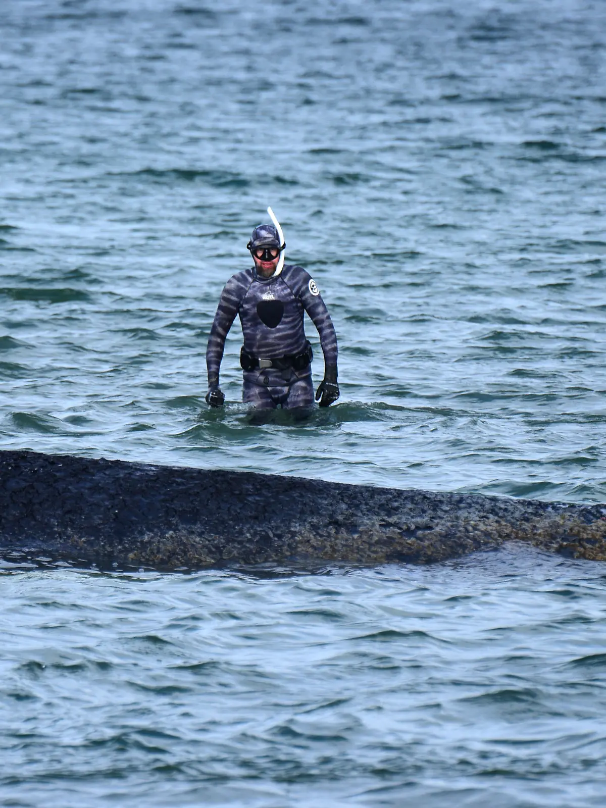 dpatopbilder - 26.03.2026, Schleswig-Holstein, Timmendorfer Strand: Robert Marc Lehmann, Biologe, untersucht einen gestrandeten Wal in der Ostsee. Heute soll ein neuer Rettungsversuch für das Tier unternommen werden. Foto: Daniel Bockwoldt/dpa +++ dpa-Bildfunk +++