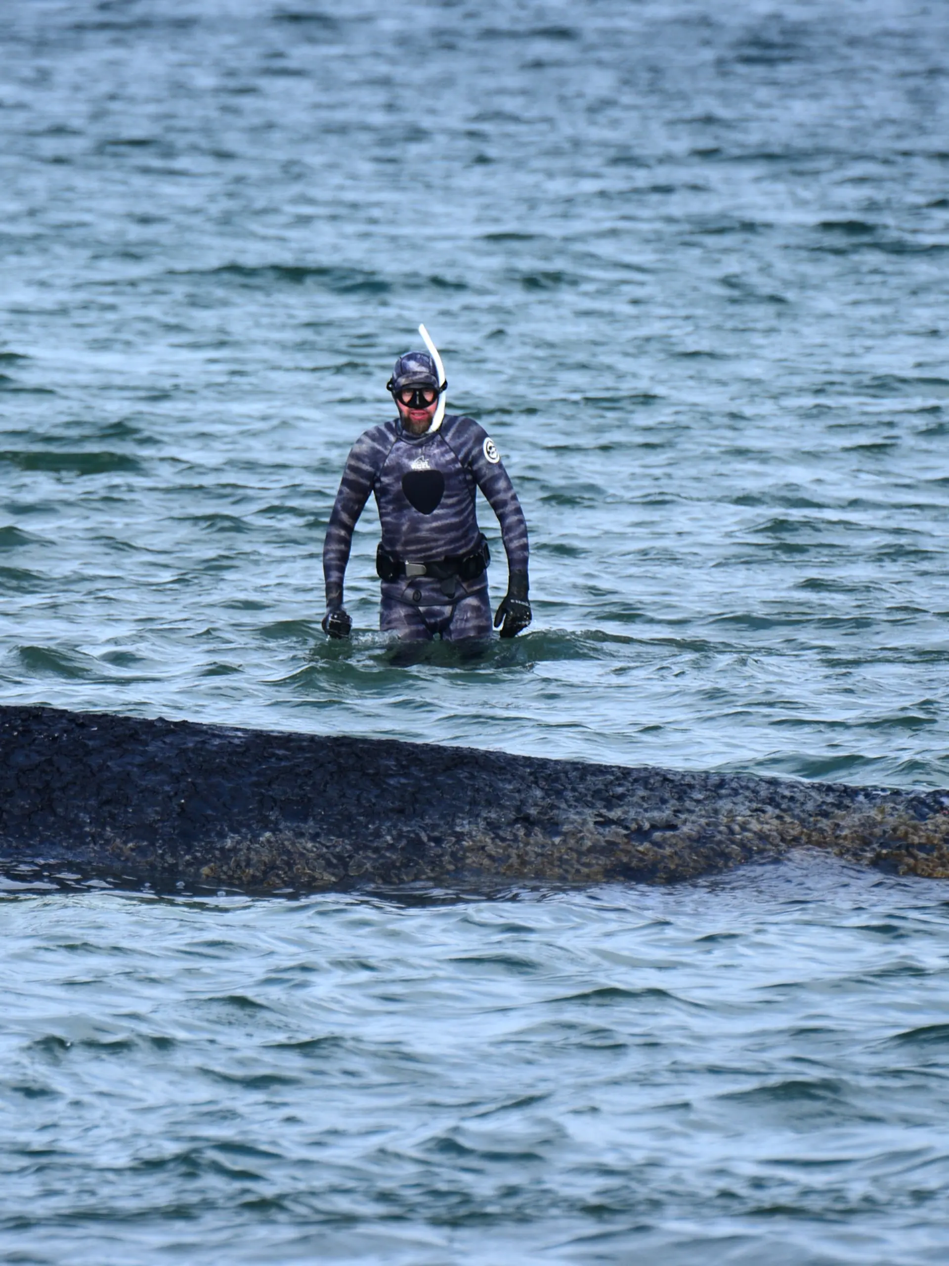 dpatopbilder - 26.03.2026, Schleswig-Holstein, Timmendorfer Strand: Robert Marc Lehmann, Biologe, untersucht einen gestrandeten Wal in der Ostsee. Heute soll ein neuer Rettungsversuch für das Tier unternommen werden. Foto: Daniel Bockwoldt/dpa +++ dpa-Bildfunk +++