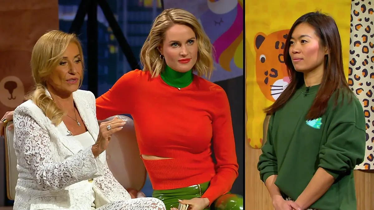 Überzeugen Feis Tiermatten die Löwen zum Deal? Mission mit Herz