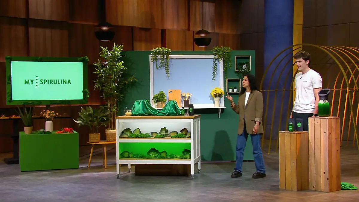 Zieht Spirulina jetzt direkt in die heimische Küche ein? Algenfarm für Zuhause