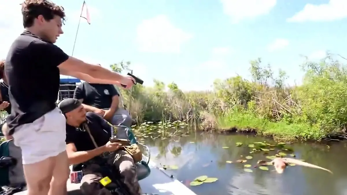 Während Ausflug! Influencer schießt plötzlich auf Alligator – vor laufender Kamera Horror in den Everglades