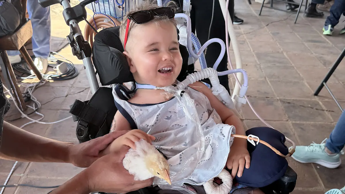 Auf dem Geburtstag seines Opas hat Olli dieses Huhn geliebt, er nannte es Perla.