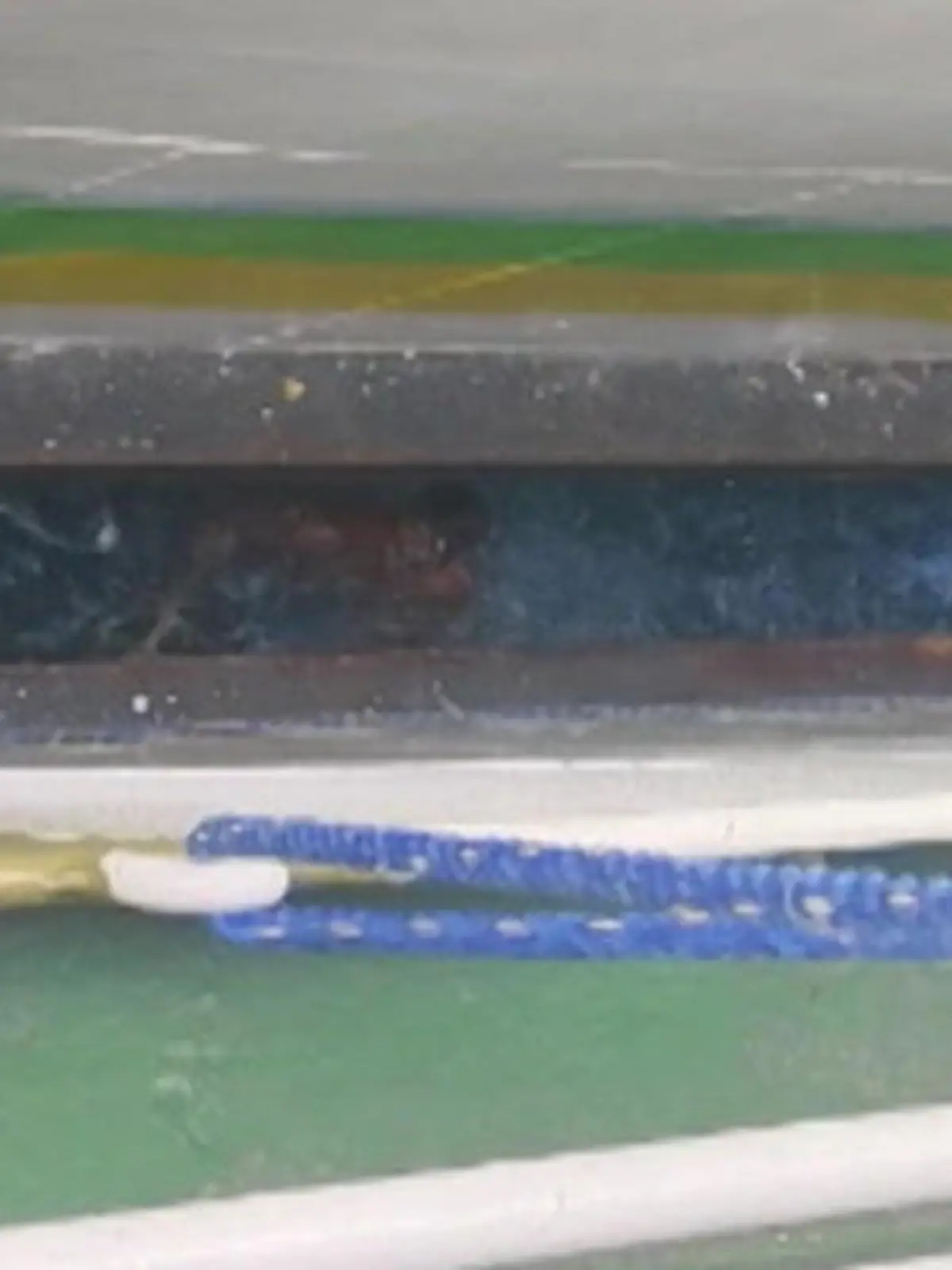 Bild zu: "Einquetsch-Gefahr! Jungen schwimmen zwischen Fähren – um Touris zu unterhalten"