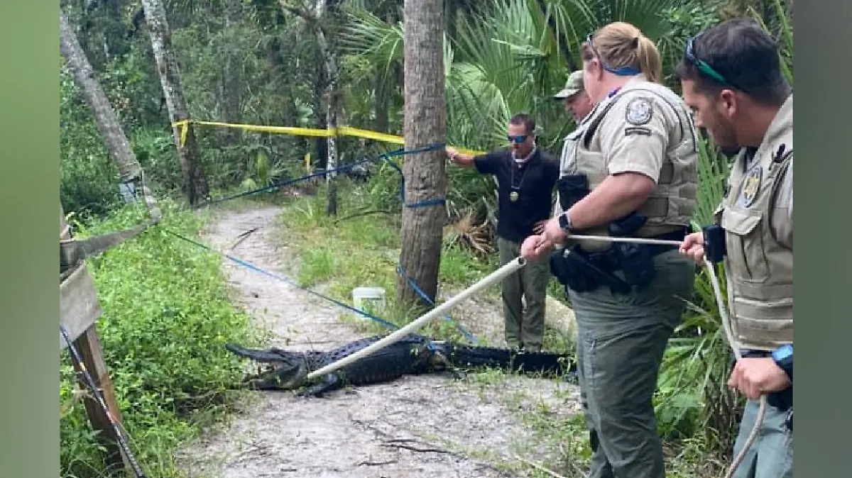 Martin County Sheriff's Office