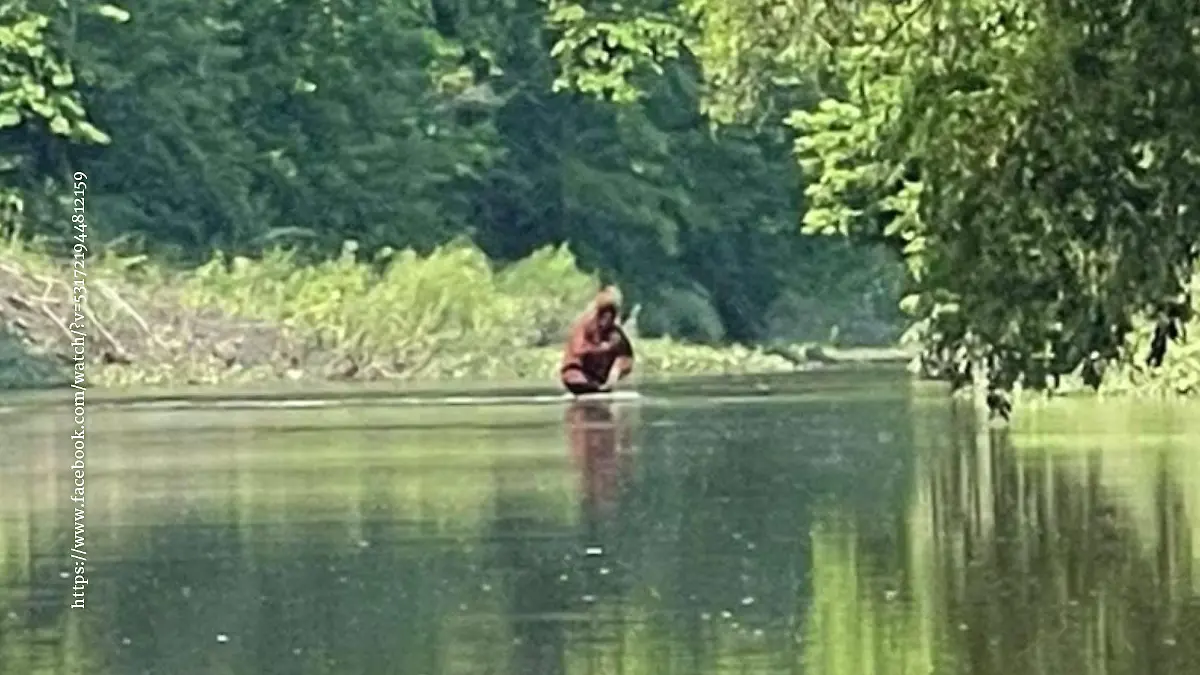 Das angebliche Bigfoot-Video wurde bereits tausendfach angesehen und geteilt