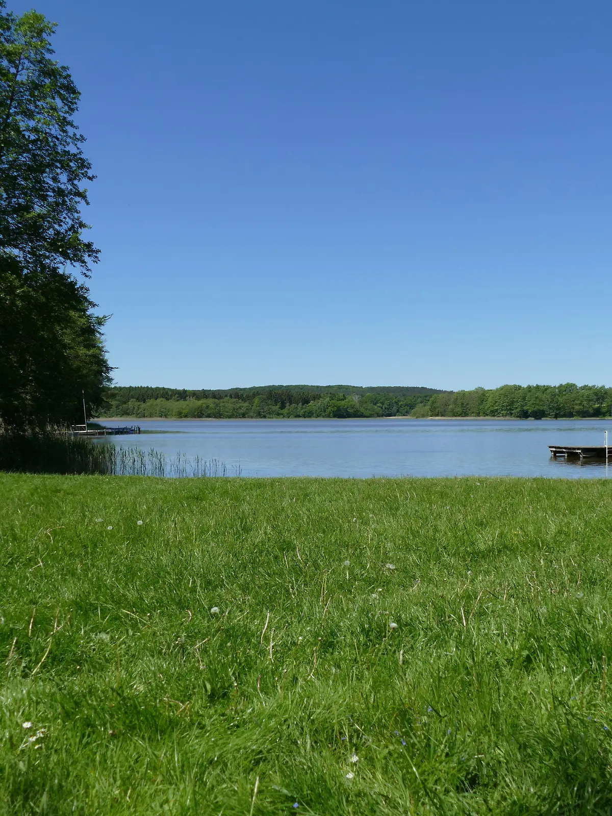 Zierst