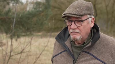 Wolfsangriff in Hamburg: Frau von Wolf gebissen – Experte fordert Tötung