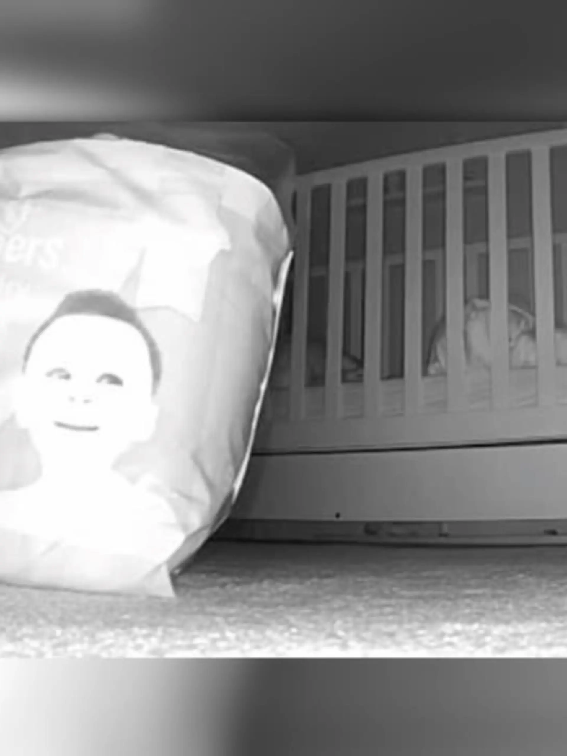 Bild zu: "Bild auf Babyphone erschrickt Mutter"