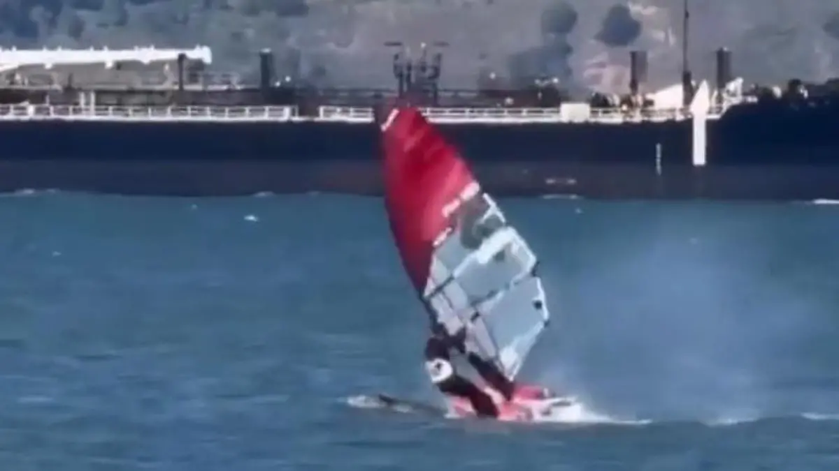 Plötzlich aufgetaucht! Surfer rast in Wal Schockmoment in San Francisco