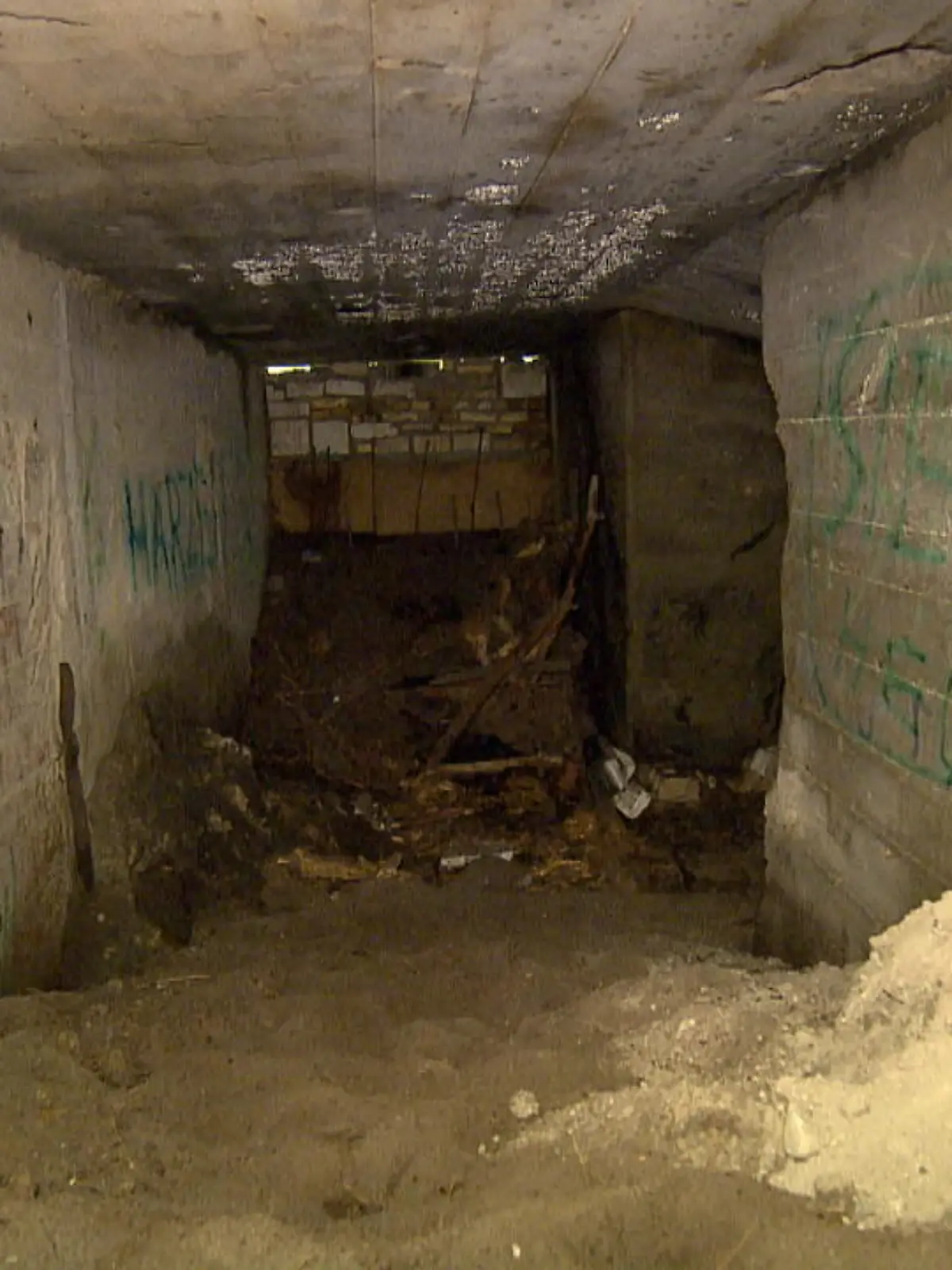 Bianca S. war als vermisst gemeldet, als ihre Leiche durch Zufall in einem Bunker mitten im Wald gefunden wurde