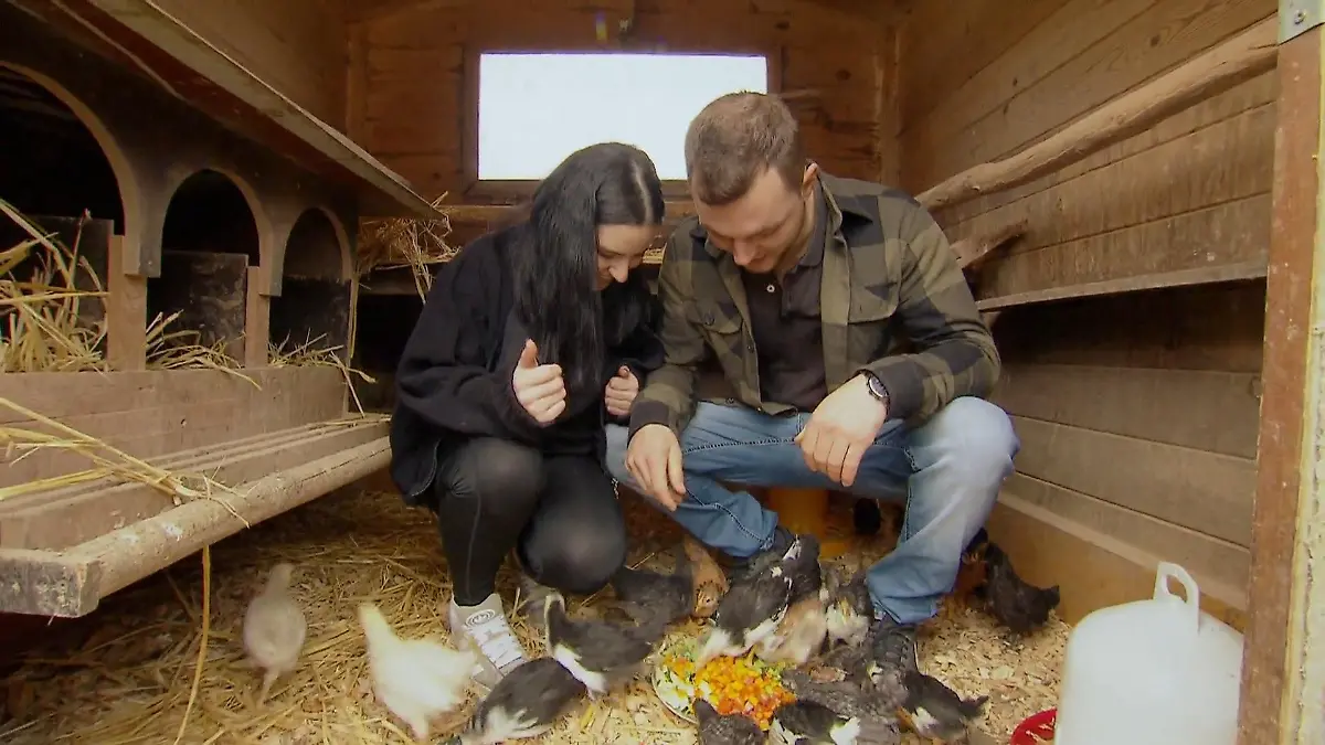 Valentina hat eine neue Leidenschaft Geflügelzucht