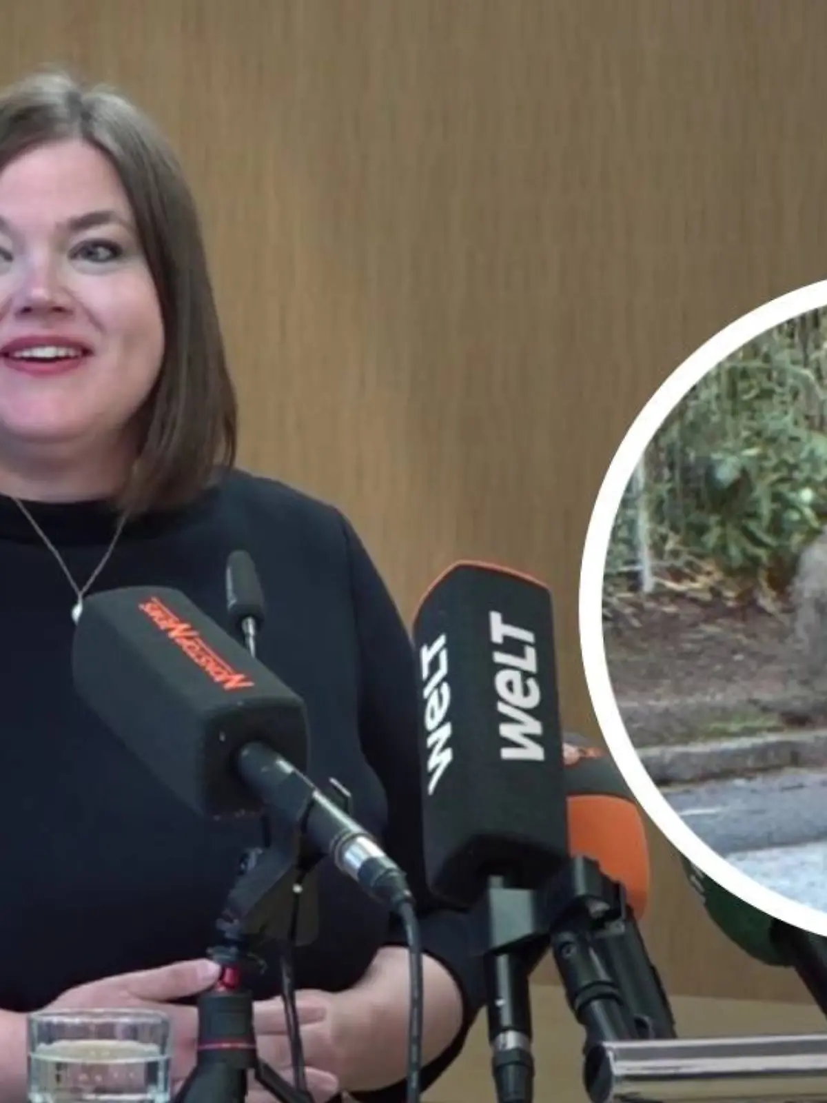 Die Hamburger Umweltsenatorin Katharina Fegebank (B’90/Die Grünen) informiert am Dienstag zum weiteren Vorgehen mit dem Wolf. 