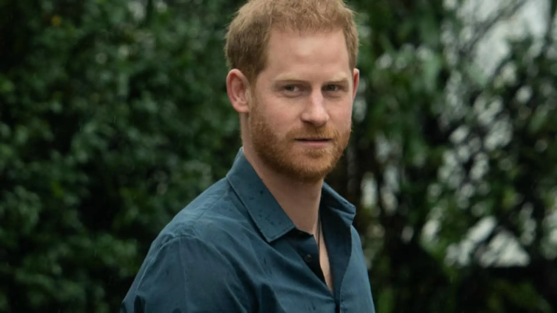 Prinz Harry: Er veröffentlicht seine Memoiren