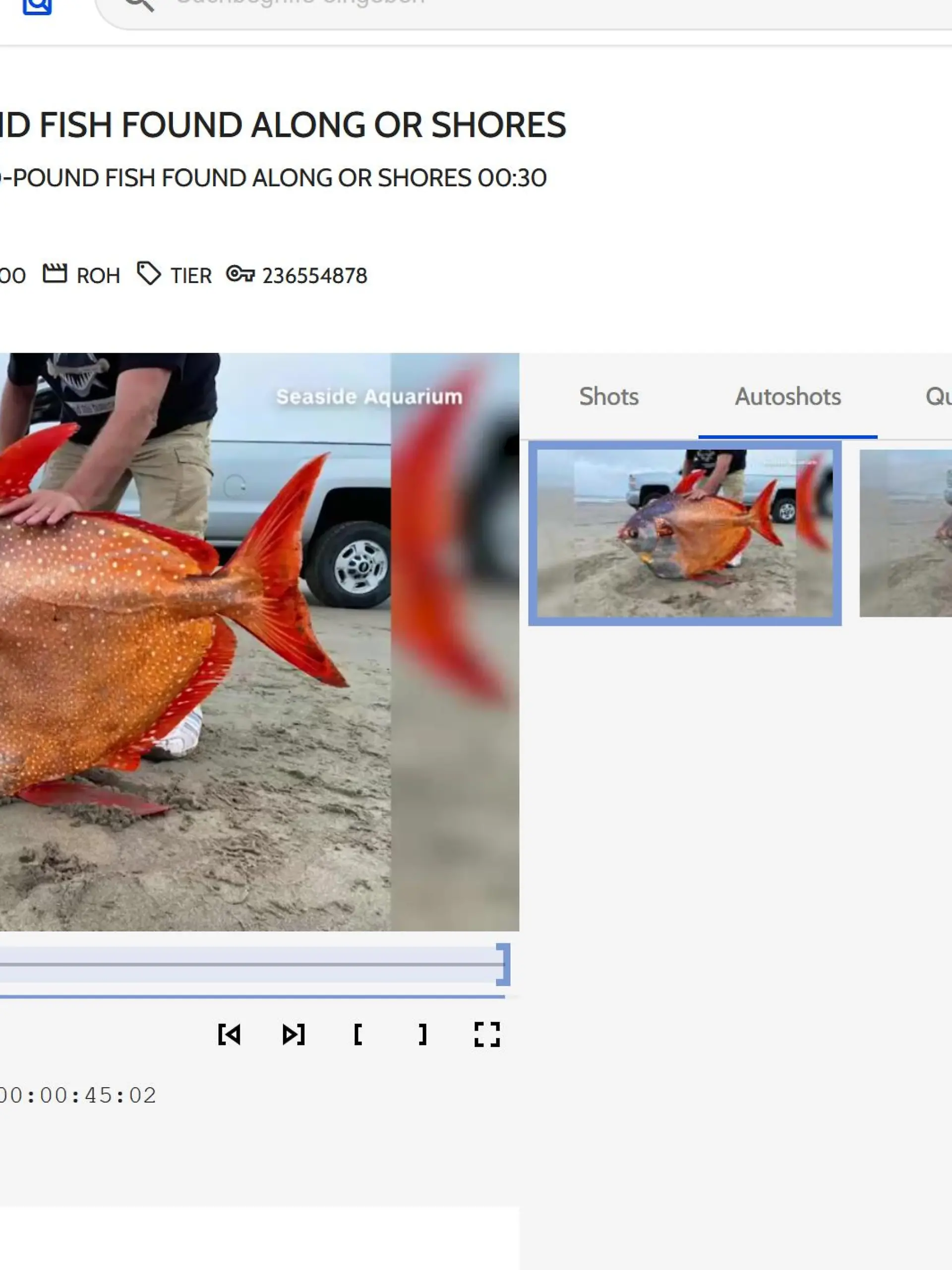 Mondfisch, Mann