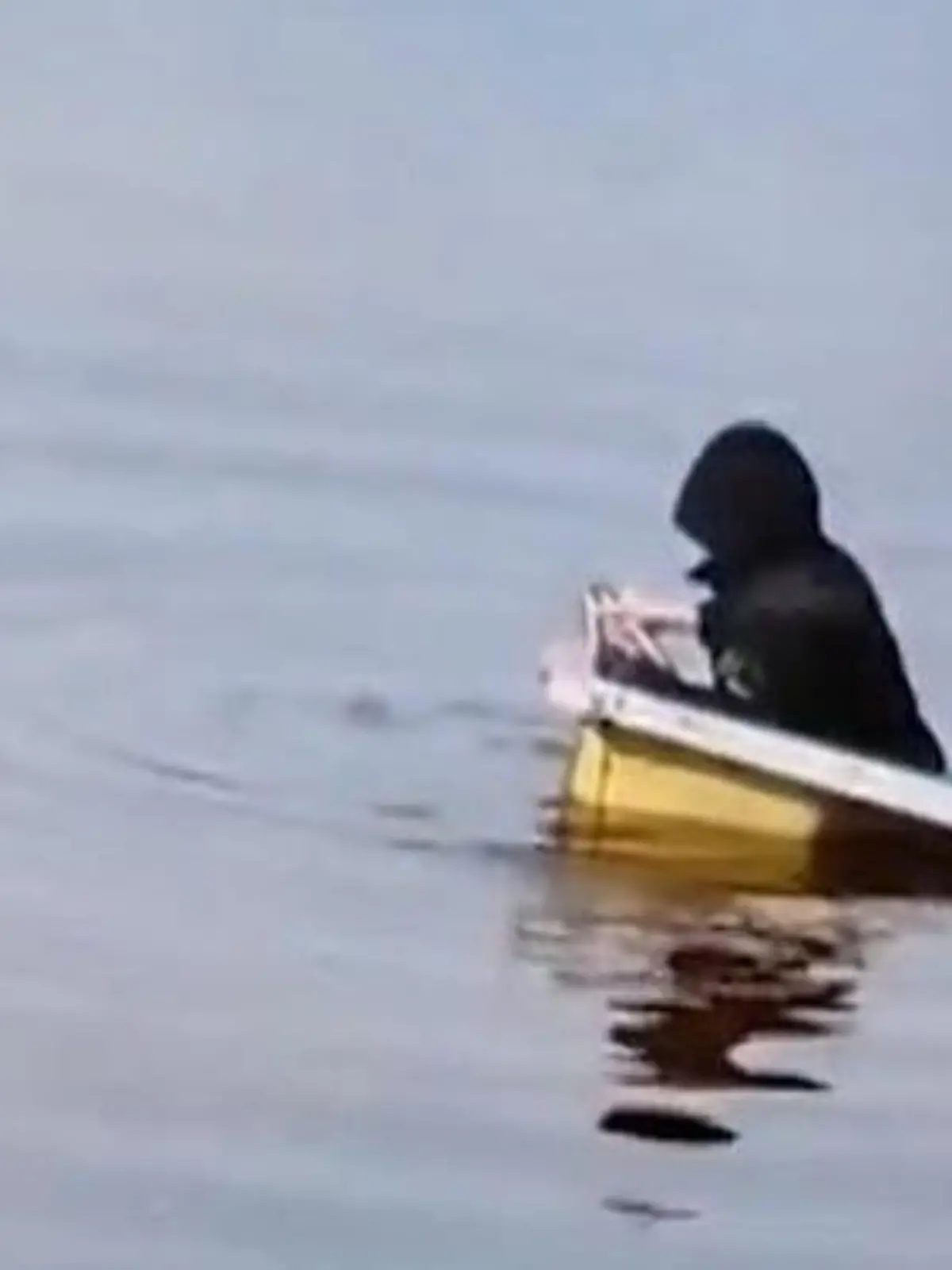 Bild zu: "Junge treibt in Badewanne Fluss hinab – Gaga-Aktion endet fast in Tragödie"