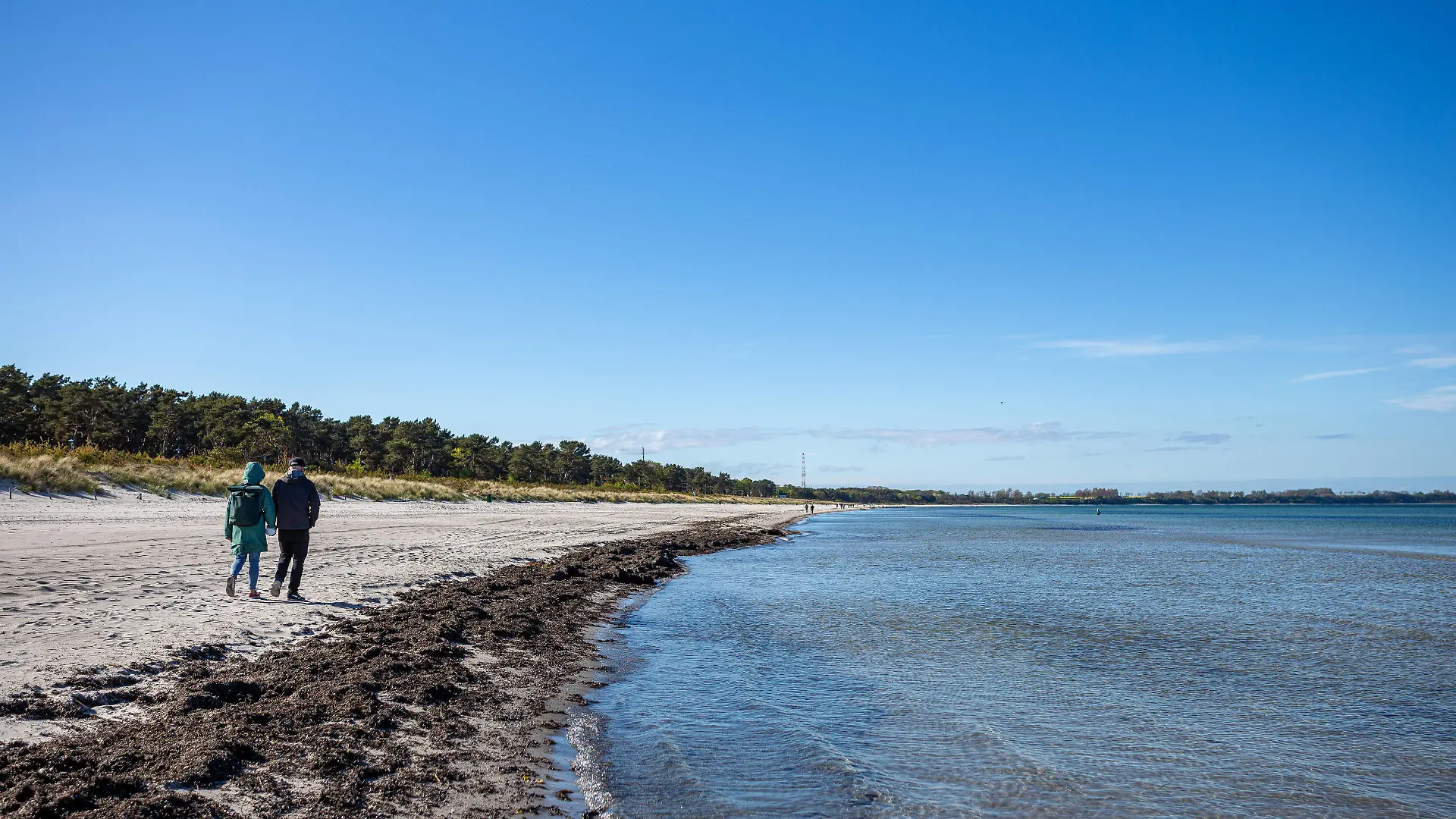 Fast menschenleer. Der Strand von Juliusruh auf Rügen bot zu Pfingsten sehr viel Platz für einheimische Gäste. GER, Rügen, Insel Rügen, Urlaub, Reise, Strand, Vorpommern-Rügen, Mecklenburg-Vorpommern, Meck-Pomm, Wandern, Ostsee, Dranske, Binz, Juliusruh, Schaabe Juliusruh Mecklenburg-Vorpommern Deutschland Strand *** Almost deserted The beach of Juliusruh on Rügen offered at Whitsun a lot of space for local guests GER, Rügen, island Rügen, vacation, travel, beach, Vorpommern Rügen, Mecklenburg Vorpommern, Meck Pomm, hiking, Baltic Sea, Dranske, Binz, Juliusruh, Schaabe Juliusruh Mecklenburg Vorpommern Germany beach