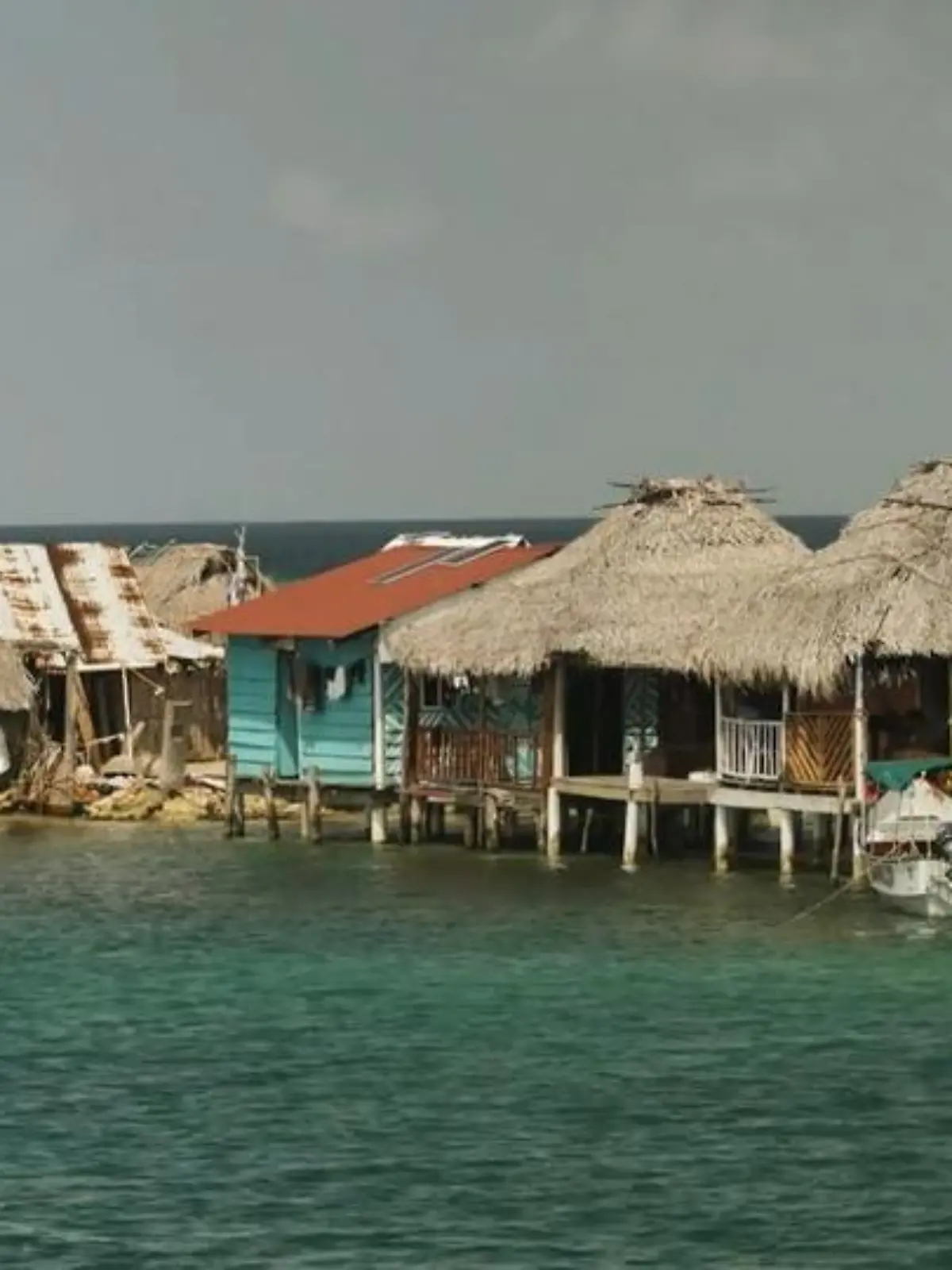 Bild zu: "Leben auf dem untergehenden Paradies?"