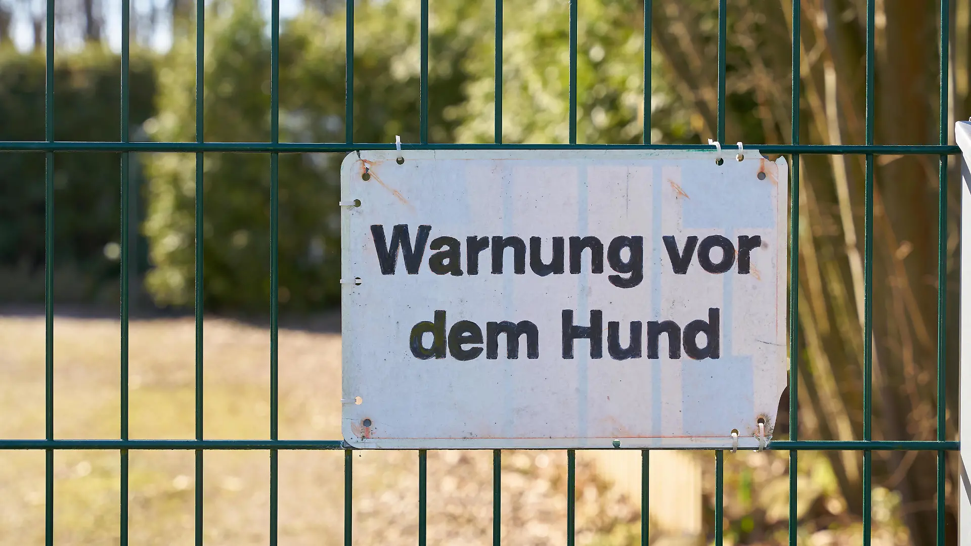 Postbote Ärger mit Hund