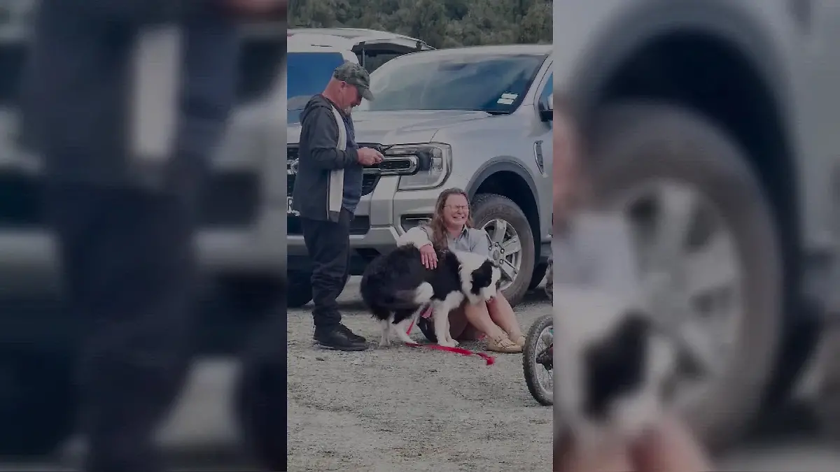 Jessica Johnston ist von ihren Gefühlen völlig überwältigt, als sie ihre Hündin Molly wieder in die Arme schließen kann.