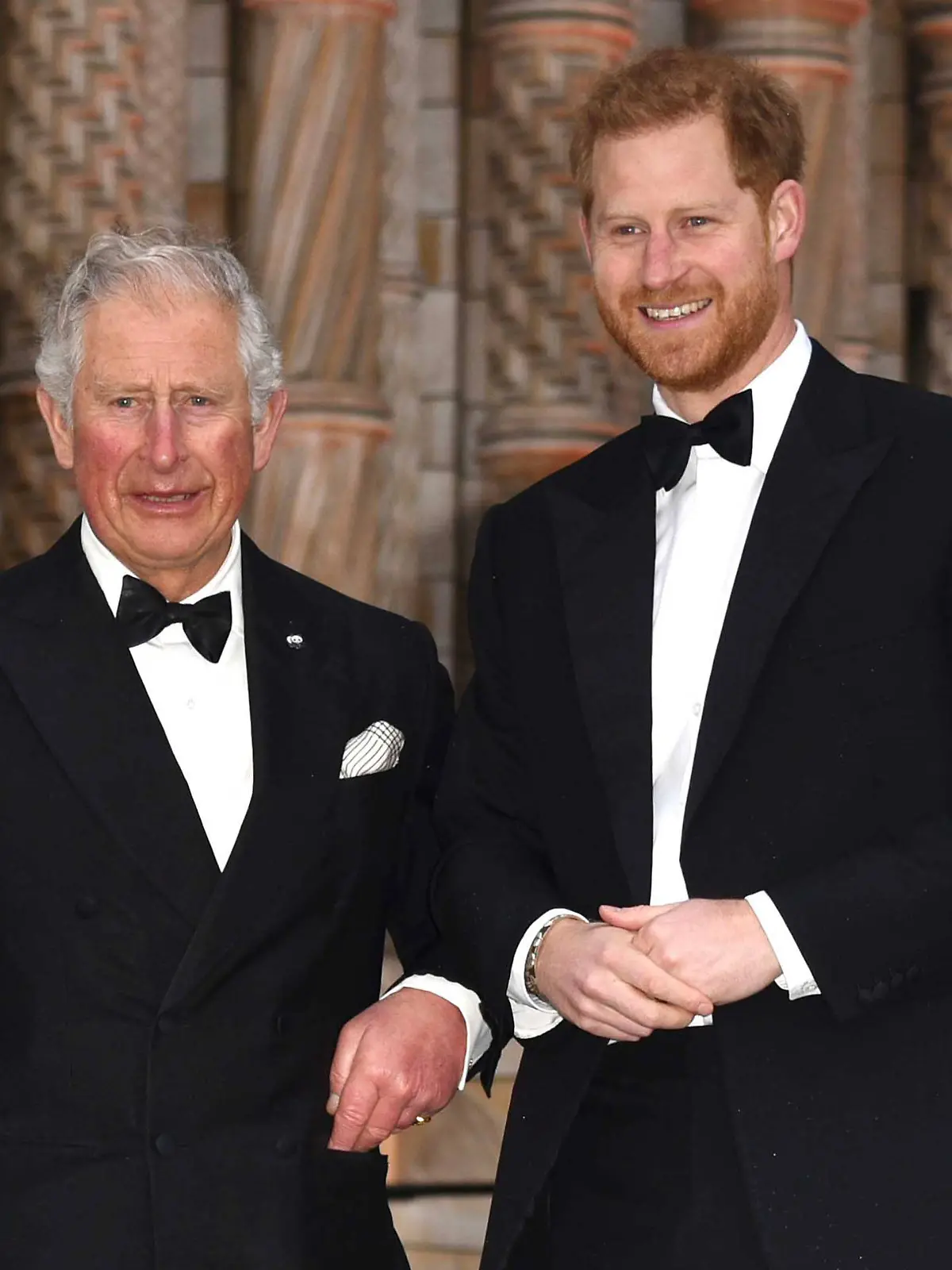 Prince Harry to attend coronation Prince Charles, Prince Harry Netflix Our Planet film premiere at the Natural History M