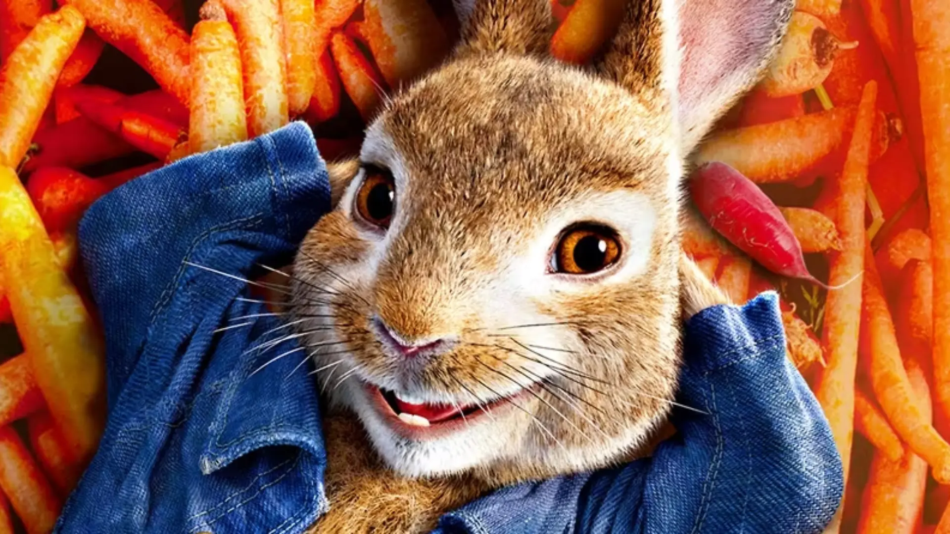 Peter Hase
