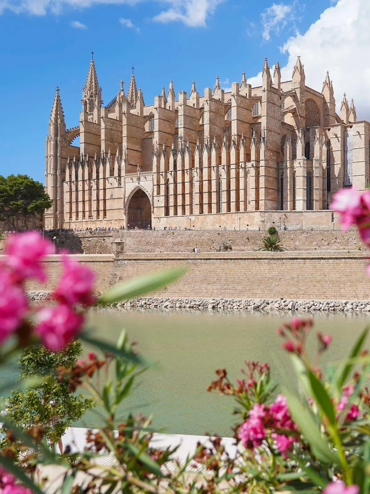 Wer im August nach Mallorca möchte, der muss tief in die Tasche greifen.